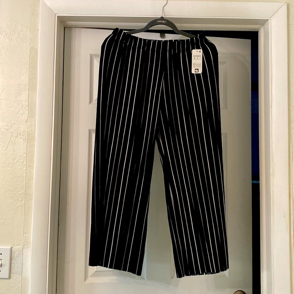 Black and white pinstripe, pleated palazzo pants